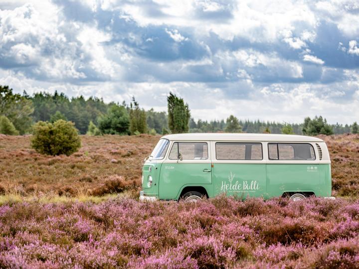 Der Heide Bulli in der Landschaft der Lüneburger Heide