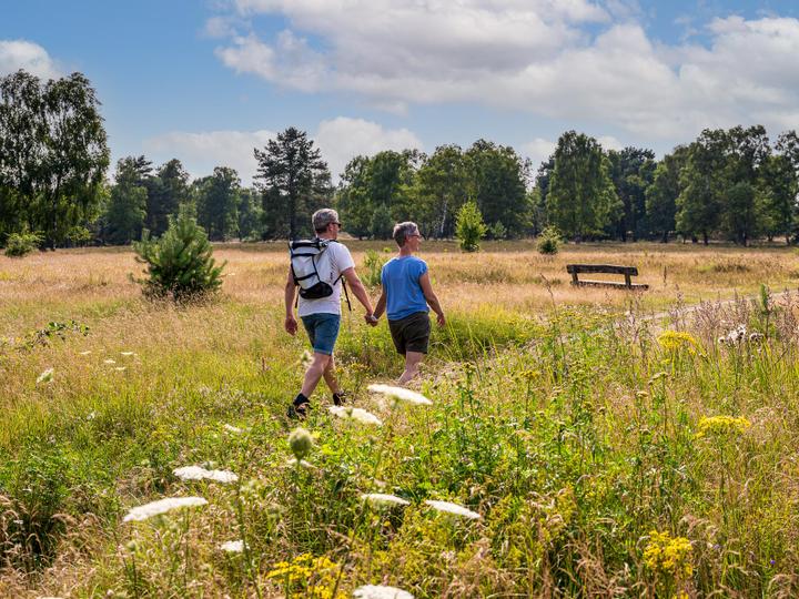 Urlaubsgäste wandern im Somme durch die Lüneburger Heide