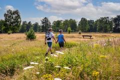 Urlaubsgäste wandern im Somme durch die Lüneburger Heide