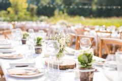 Festliche Tafel im Garten mit Holzstühlen, weißer Tischdecke und Baumplatten auf den Tischen als Deko.
