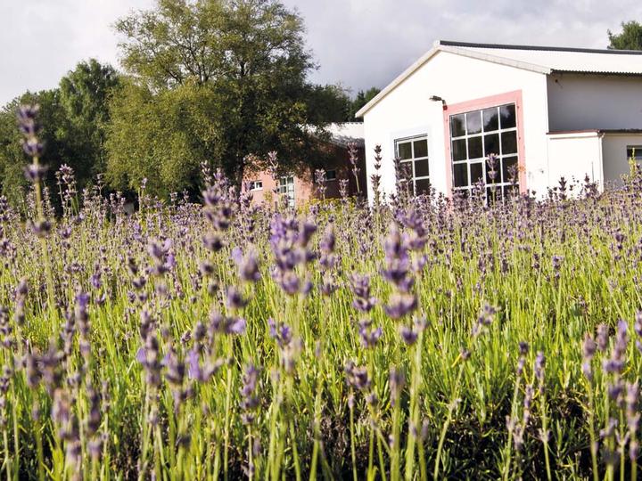 Lodge Reinsehlen | Schneverdingen