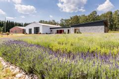 Lodge Reinsehlen | Schneverdingen
