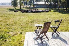 Heidschnucken vor den Lodge-Zimmern