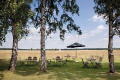 Schattiger Sitzplatz unter Birken im Sommer