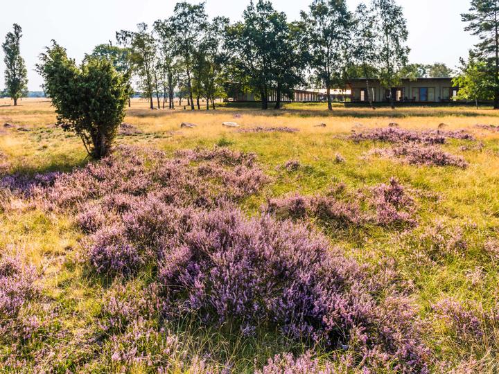 Die Lodge-Zimmer von weitem