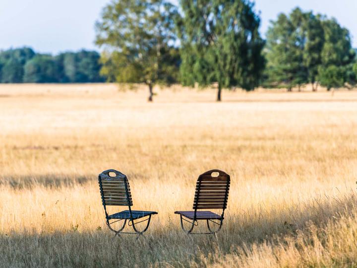 Lodge Reinsehlen | Schneverdingen