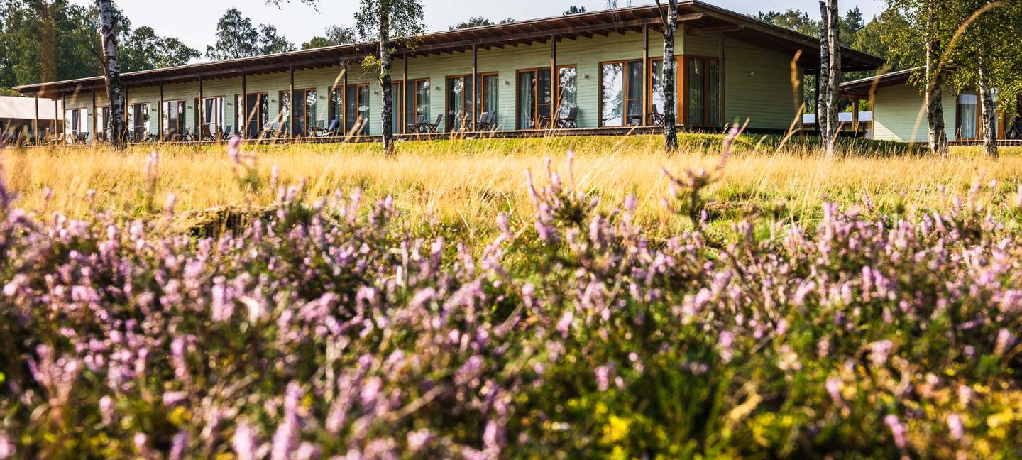Blick auf die Lodge-Zimmer von der Wiese