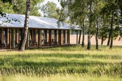 Wogendes Gras vor den Lodge-Zimmern