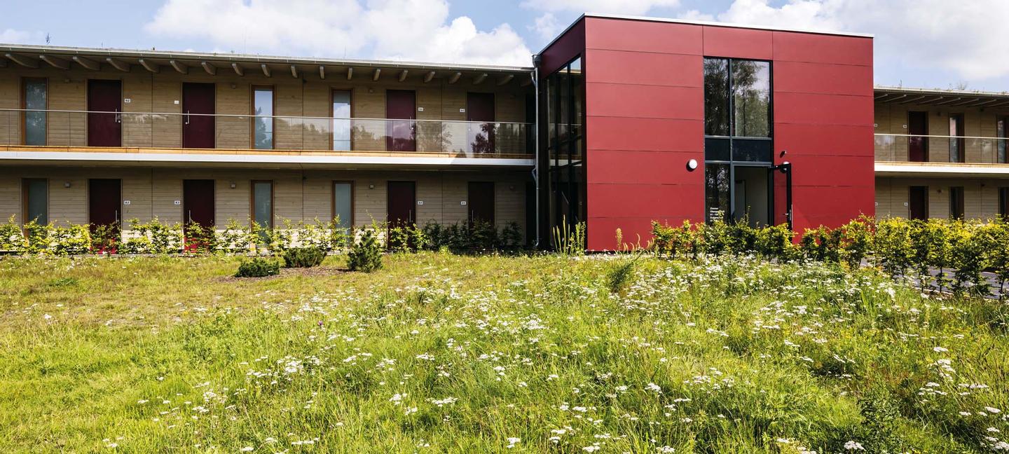 Lodge Reinsehlen | Schneverdingen
