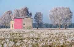 Winterliche Landschaft mit Birken und Trafohäuschen in weiter Landschaft