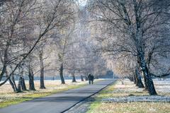 Spaziergänger auf kleiner Straße  zwischen großen Birken und weiter Landschaft