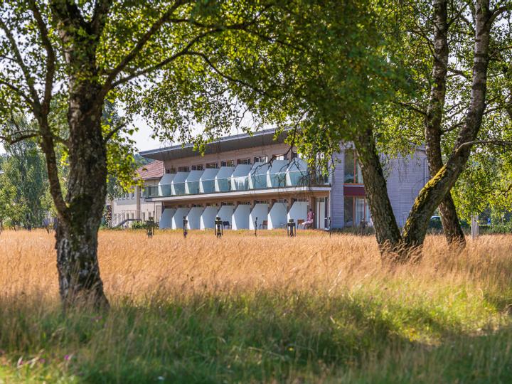 Wiese mit Gräsern und Birken und Blick auf einen Zimmertrakt eines Hotels