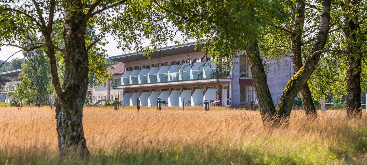 Wiese mit Gräsern und Birken und Blick auf einen Zimmertrakt eines Hotels