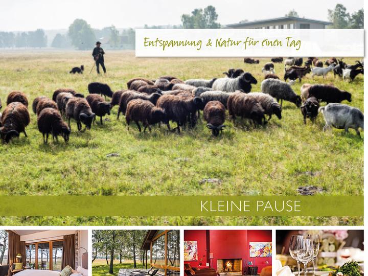 Lodge Reinsehlen | Schneverdingen