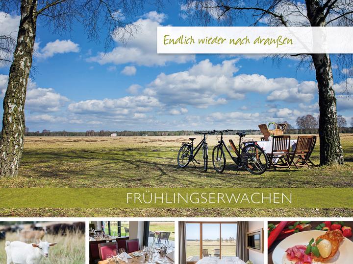 Lodge Reinsehlen | Schneverdingen