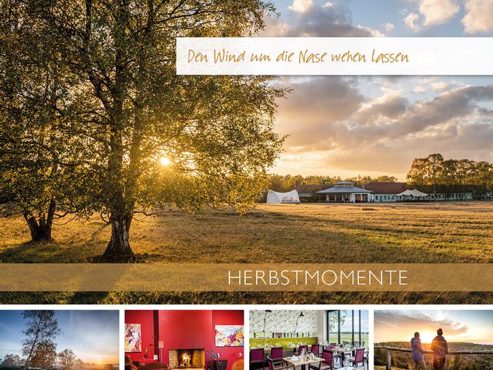 Lodge Reinsehlen | Schneverdingen