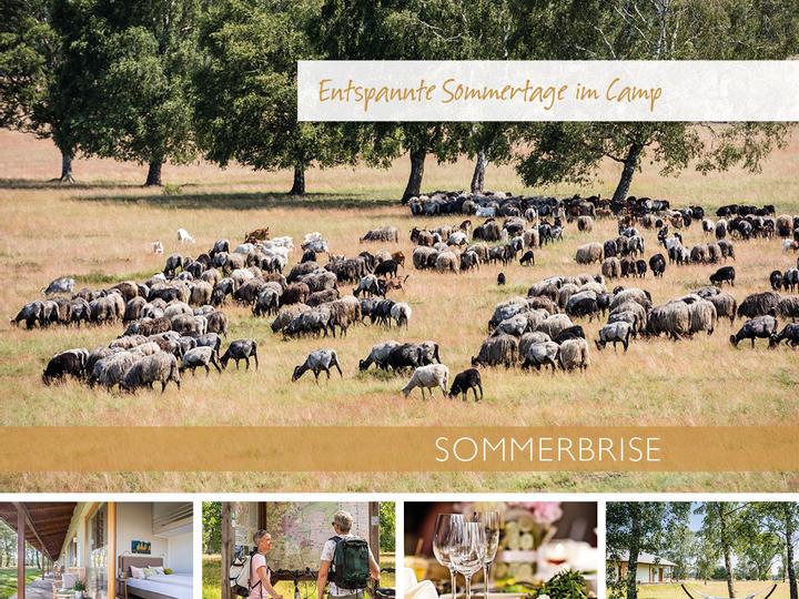 Lodge Reinsehlen | Schneverdingen