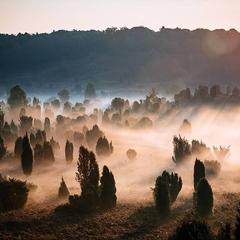 Der Totengrund im Nebel